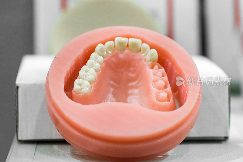 牙科诊所提供牙科护理的白牙人工颌