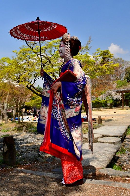 穿着舞子服装的日本女人享受京都的春天