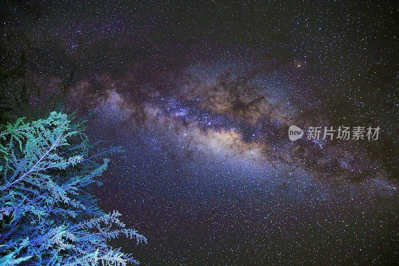 银河系上方安第斯山脉的松树——秘鲁夜间星空景观