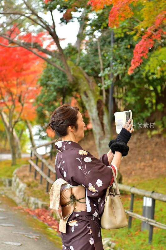 穿着和服的日本妇女在京都拍摄秋叶
