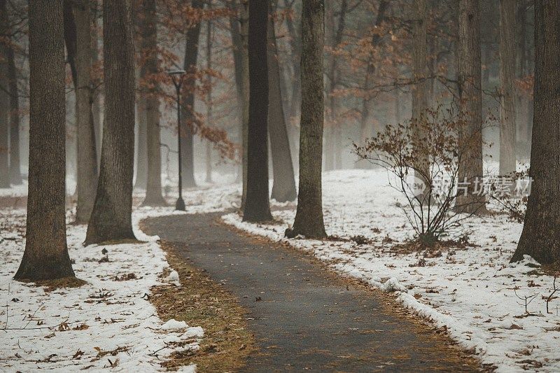 雾雪森林散步小径在秋天