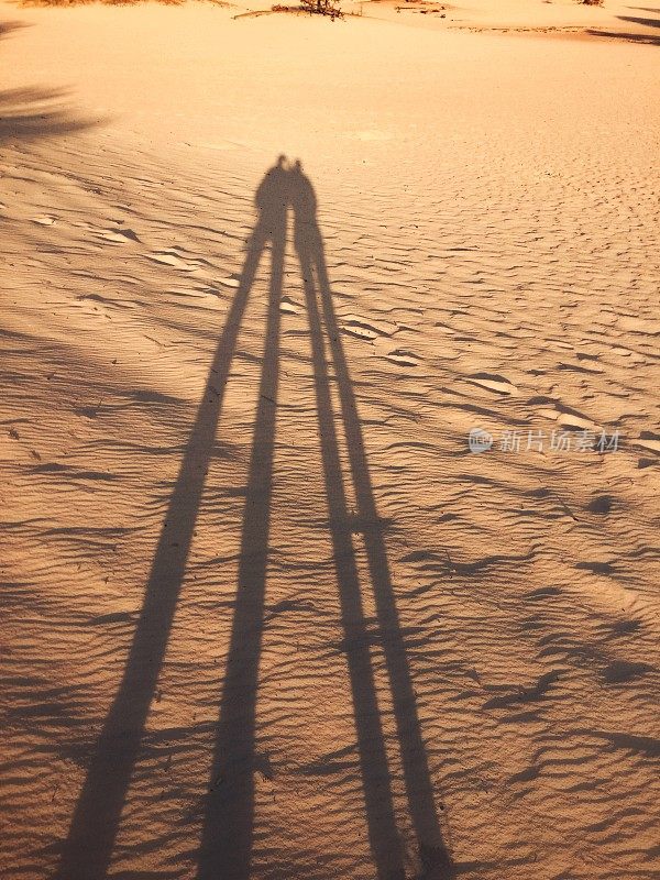 沙丘中长长的阴影
