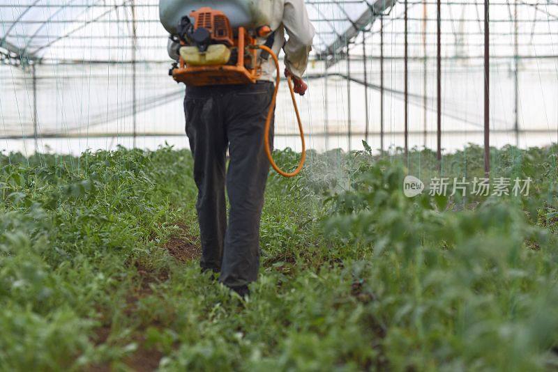 农民在温室里给庄稼喷洒农药