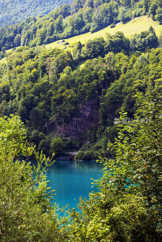 瑞士奥布瓦尔登的Lungern湖或Lungerersee景观