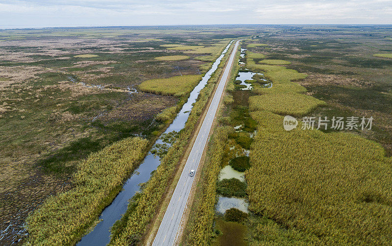 沼泽地上的高速公路