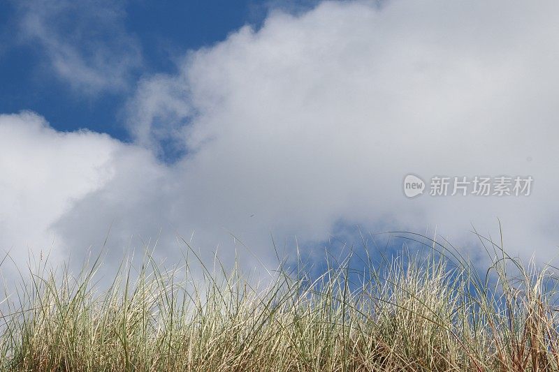 云在玛拉姆草地上的沙丘