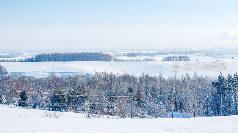 北海道北依的雪山和桦树