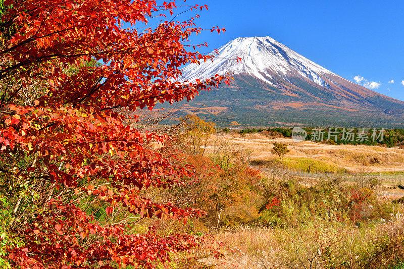 富士山和秋叶色，拍摄于富士五湖地区和富士宫市