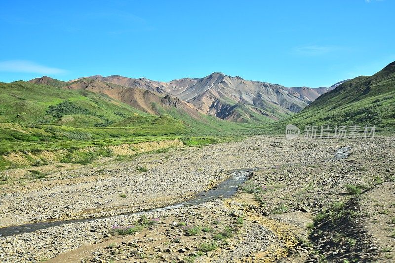 辫状河和德纳里景观