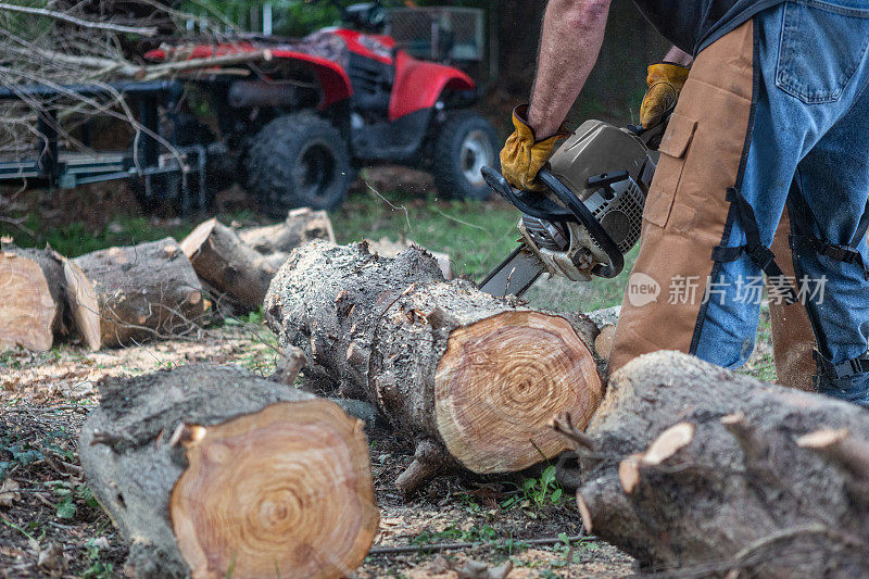 伐木工用链锯切割原木。Quad在背景中。