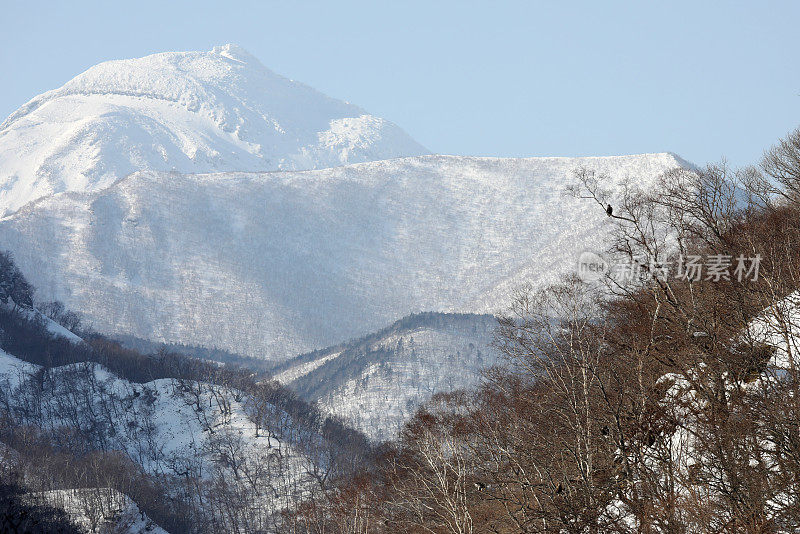 日本北海道的冬季景观