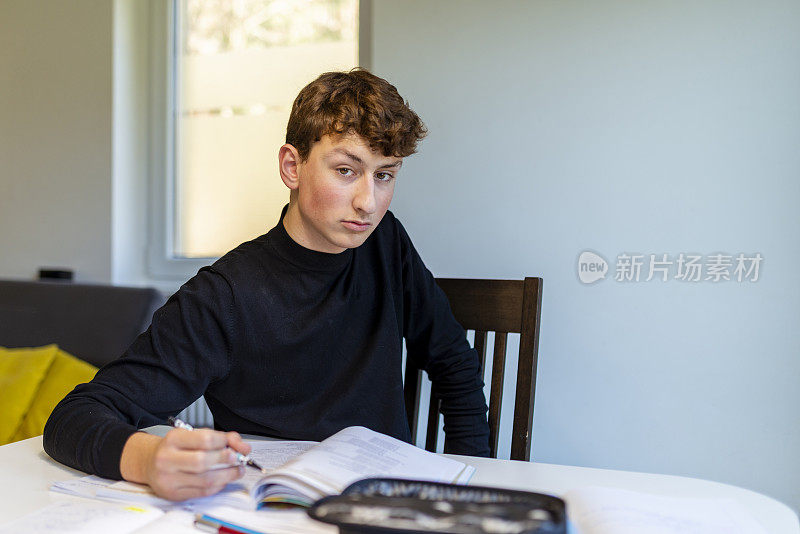 年轻的男学生在家里做作业