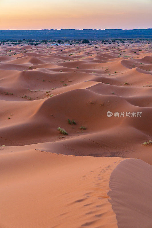 摩洛哥Merzouga沙漠的橙色沙丘和多云的天空。