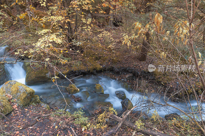 中国九寨沟国家公园，风景优美的木林山脉和湖泊景观