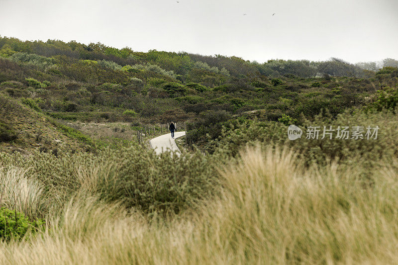 穿过海牙附近荷兰海岸沙丘的小路