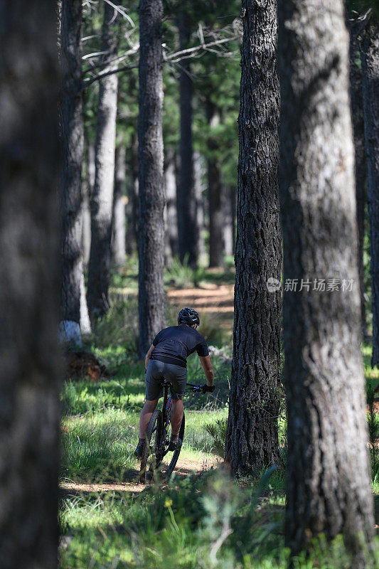 一个骑自行车穿过森林的人。