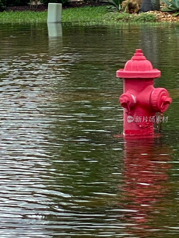 被洪水淹没的郊区街道