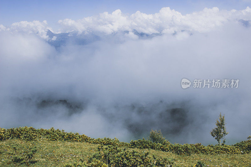 从山顶俯瞰，壮丽的景色