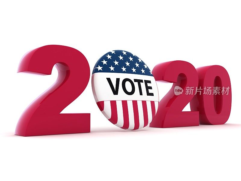 美国2020年大选投票徽章