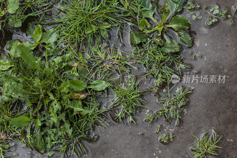 暴雨后，靠近淹水路径