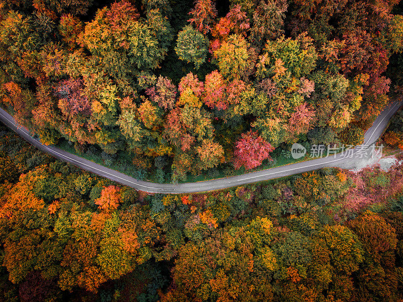 无人机拍摄的乡间小路蜿蜒穿过秋天的森林