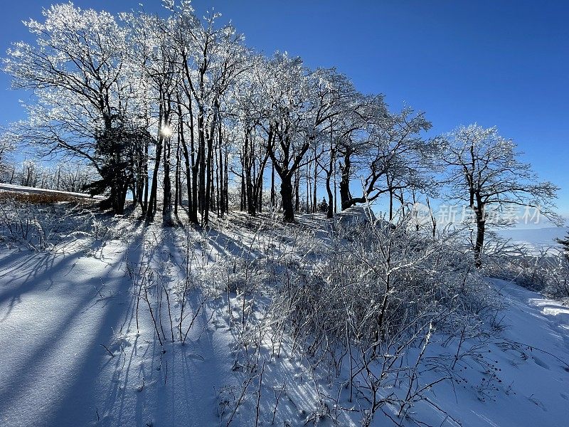 阿巴拉契亚山径-谢南多厄国家公园-徒步小径-冬季暴风雪