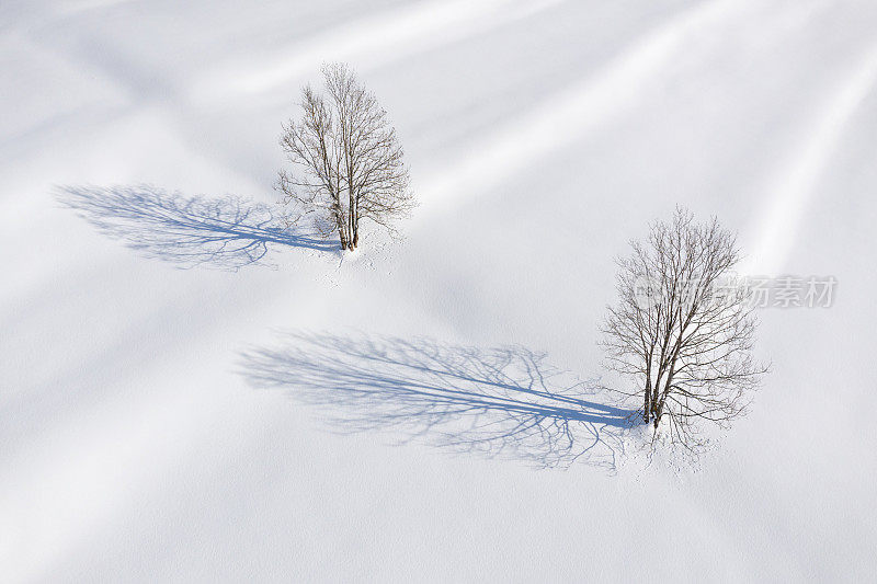 冬天的仙境，在早晨阳光下的阴影在深深的新鲜的粉末雪