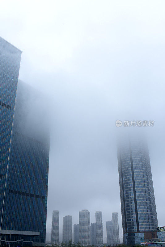 中国山东省日照市，花儿在春雨中绽放