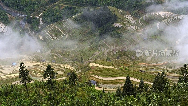 中国贵州，云雾弥漫的梯田