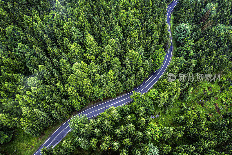 鸟瞰绿色森林中的山路