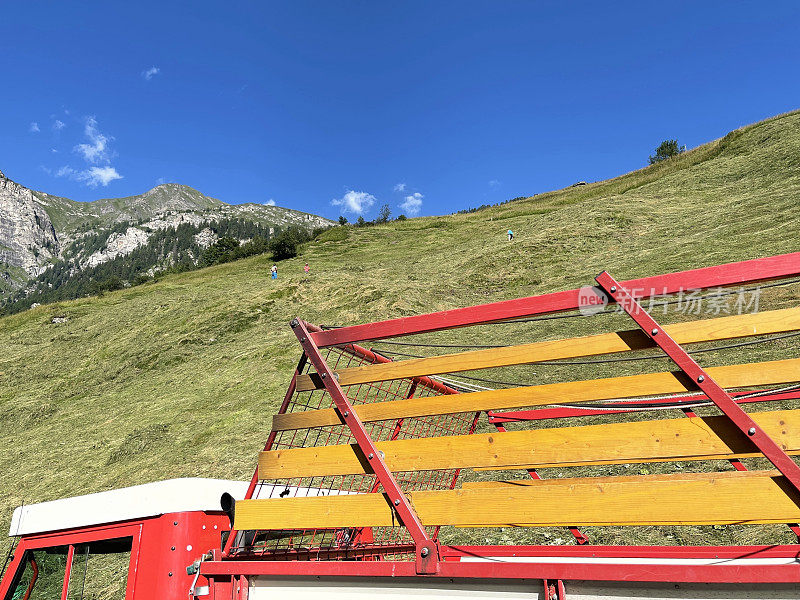 在陡峭的瑞士草地上收割干草，瓦尔斯，Graubünden