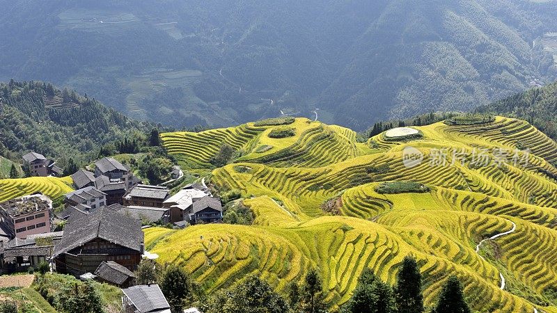 中国广西的龙基瑶族和壮族水稻梯田