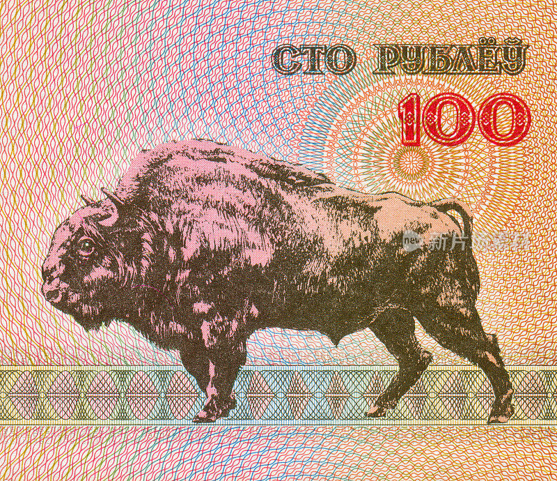 白俄罗斯钞票上的牦牛图案