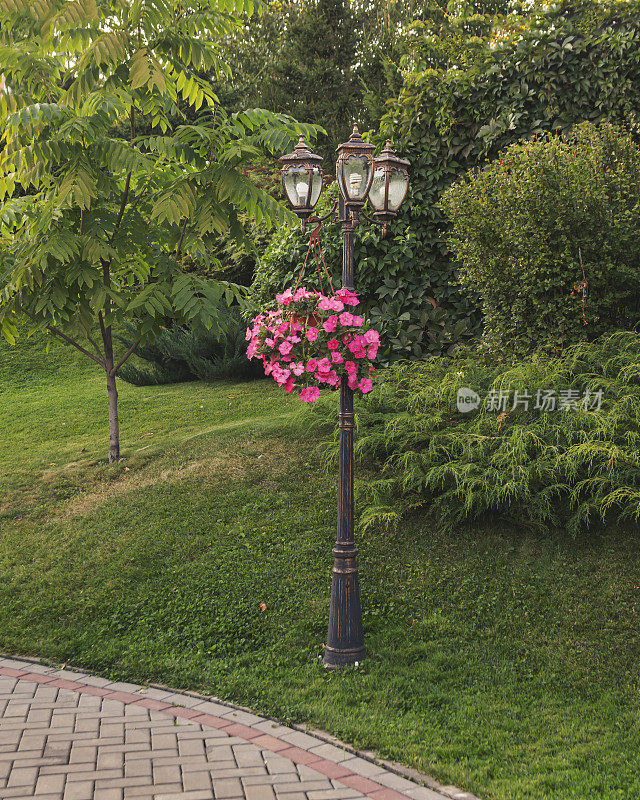 公园景观设计碎片。一个复古的灯笼和一个挂着牵牛花的花盆。