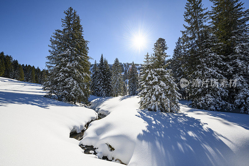 冬季的景观有白雪覆盖的森林和一条小河