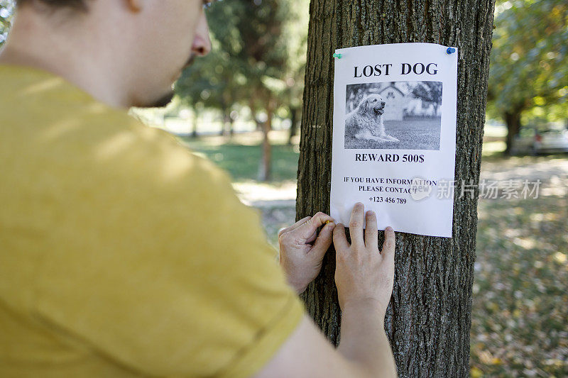 狗主人把丢失狗的海报贴在树上