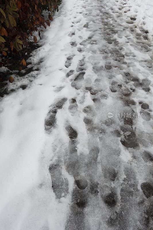 雪地里有人类的脚印