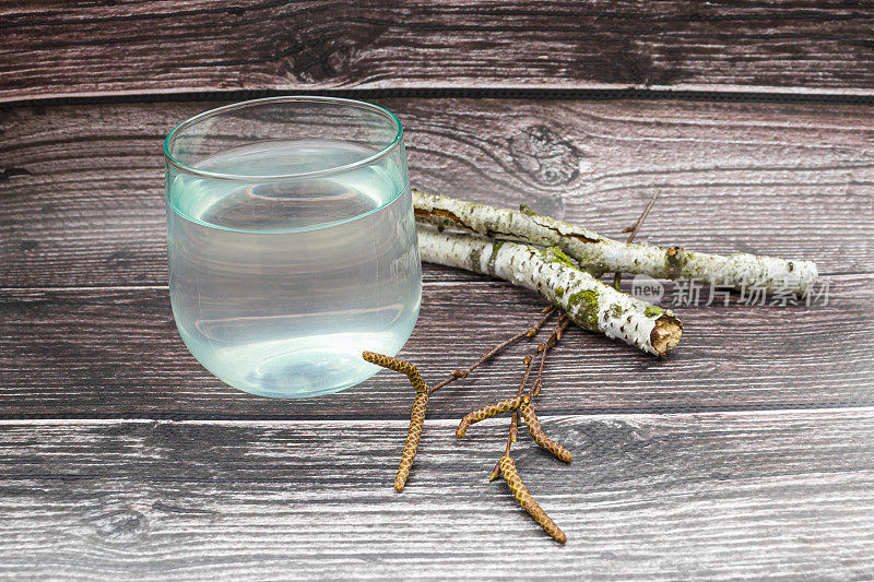 桦树汁，收集桦树汁。