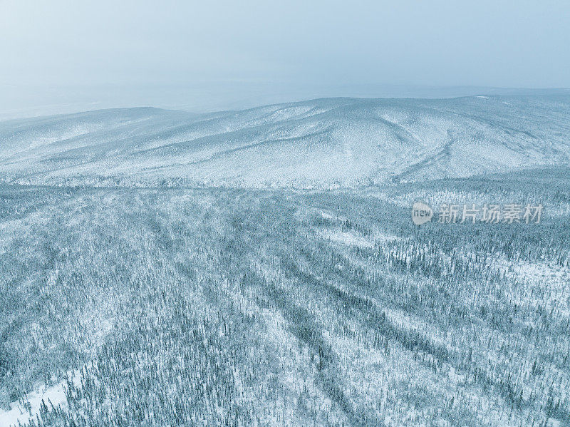 加拿大育空地区冬季暴雪过后的北方自然森林鸟瞰图