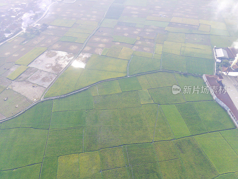 工厂和工业区周围的空中稻田
