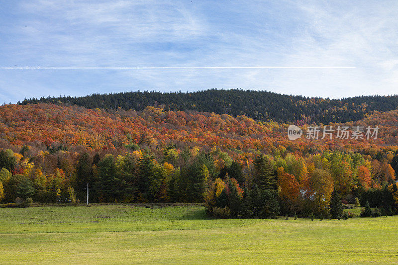 在蓝天的映衬下，山上有五颜六色的秋树