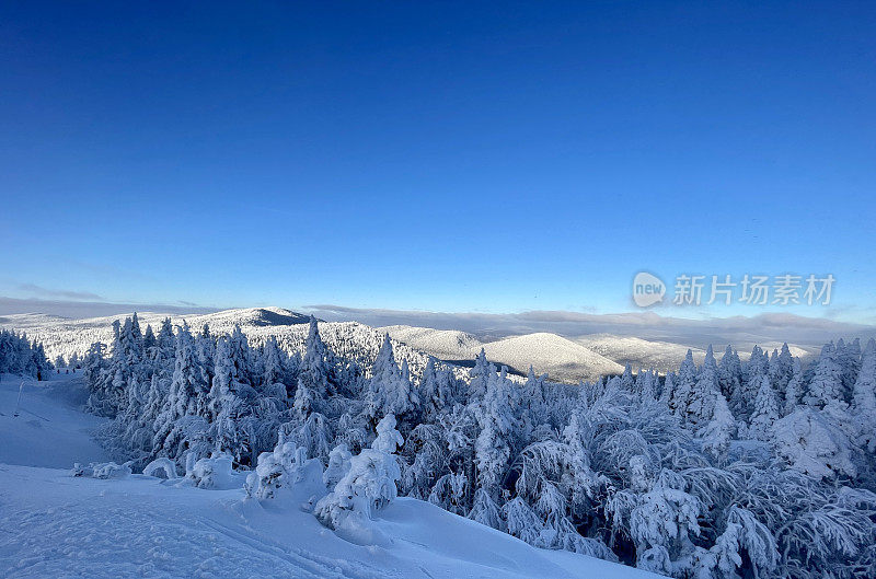 特朗布兰特山滑雪坡道，积雪覆盖树木