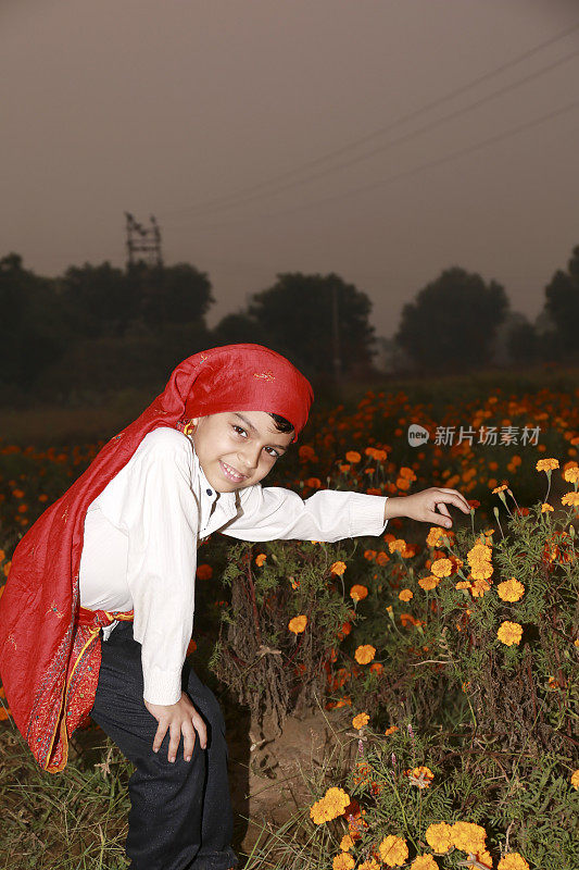 小学生在金盏花地里摘花