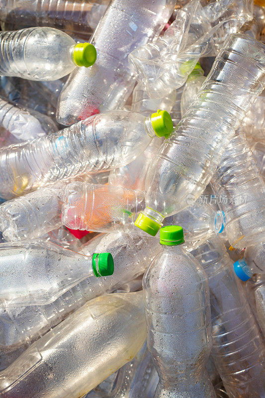 收集垃圾桶里的塑料瓶进行回收