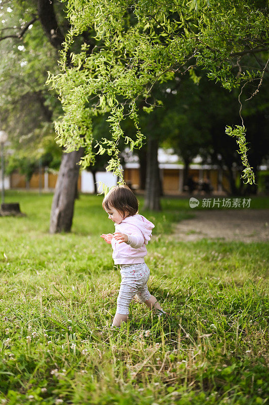 侧视图完整的可爱的孩子走在草地上。