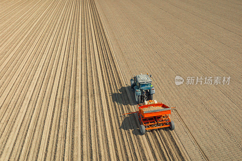 春天，拖拉机在田地里种植土豆种子