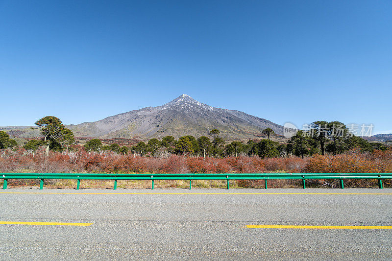 森林后面的火山