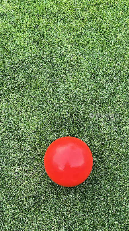 坐在草地上的红球