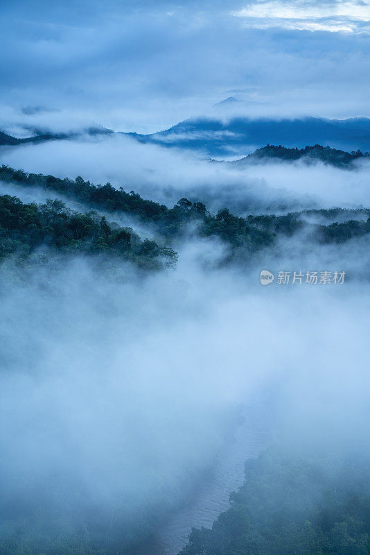 雾蒙蒙的丛林雨林与雾和层层叠叠的山脉从日出之前。鸟瞰图。