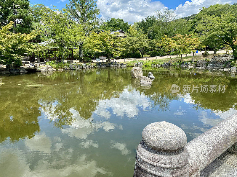 日本-京都-丸山公园